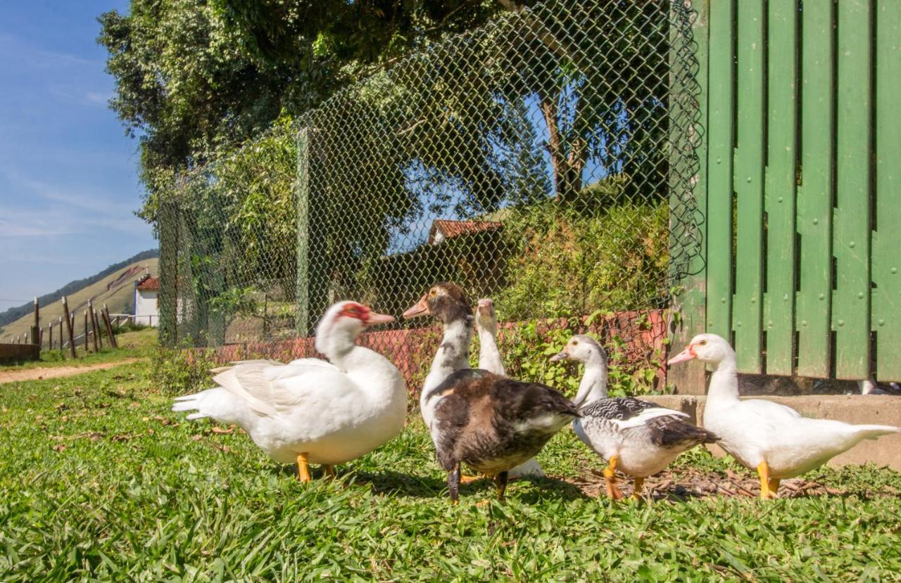 Hotel Fazenda Canto Da Serra Jacone Ngoại thất bức ảnh